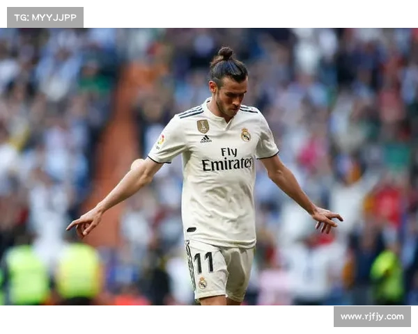 威尔士与比利时世欧预赛因老鼠入侵球场一度暂停 引发热议